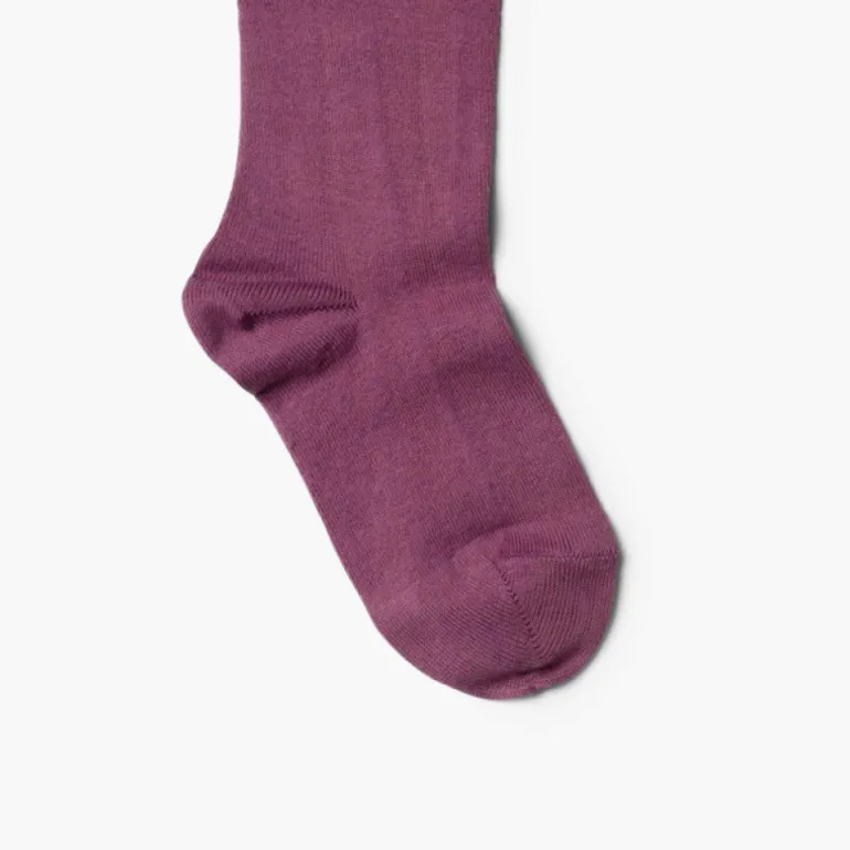 Menino Pisamonas Collants Condor Lisos